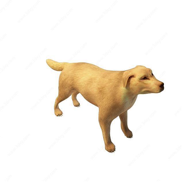 黄狗3D模型