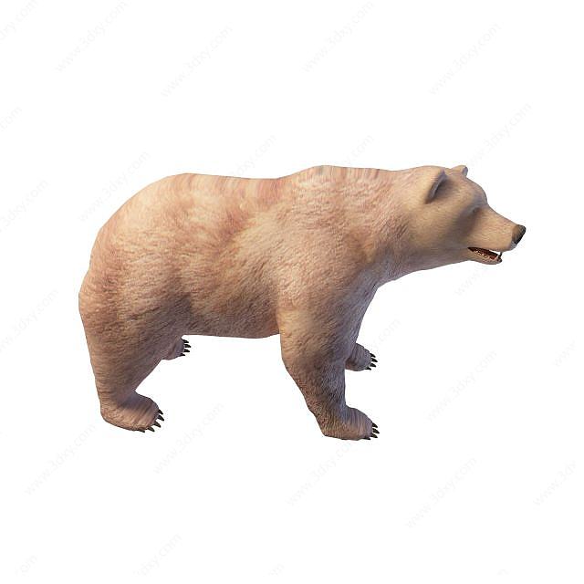 狗熊3D模型
