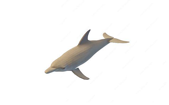 海豚3D模型