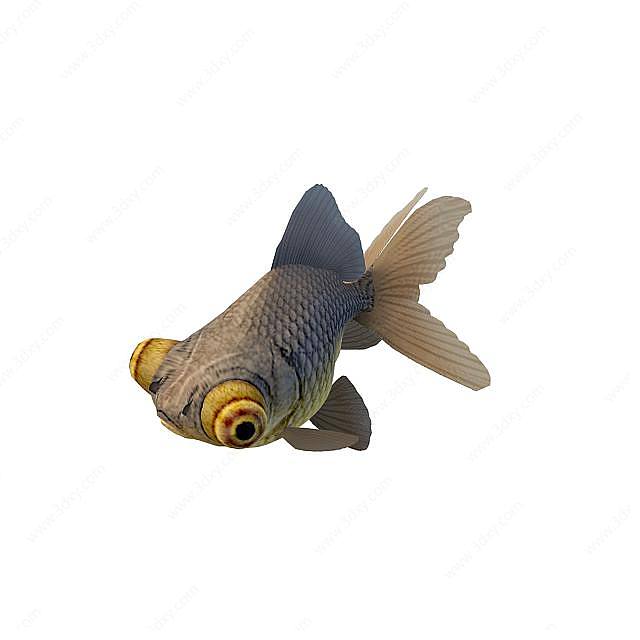黑金鱼3D模型