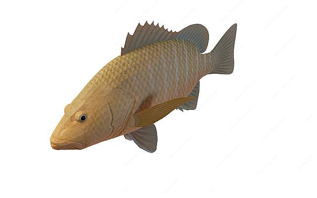 黄鱼3D模型
