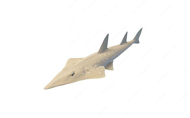 尖头鱼3D模型