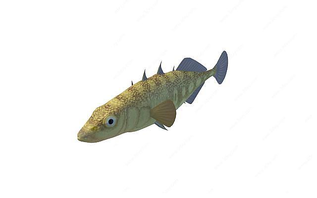 金刺鱼3D模型