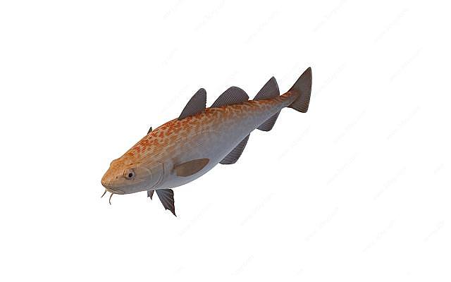 牛角箱魨鱼3D模型