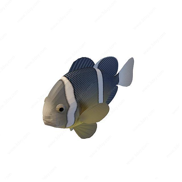 三色鱼3D模型