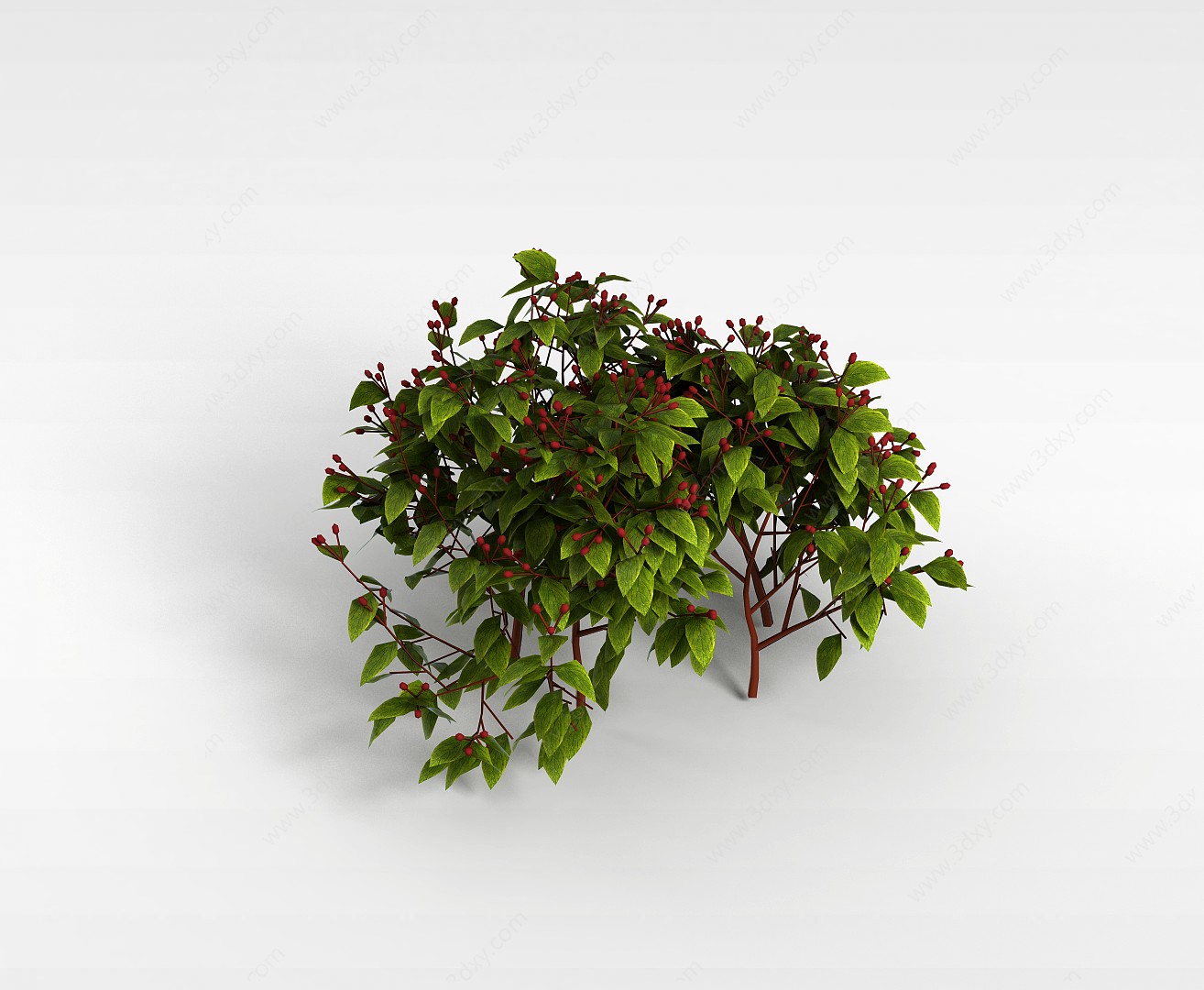 红果实灌木3D模型