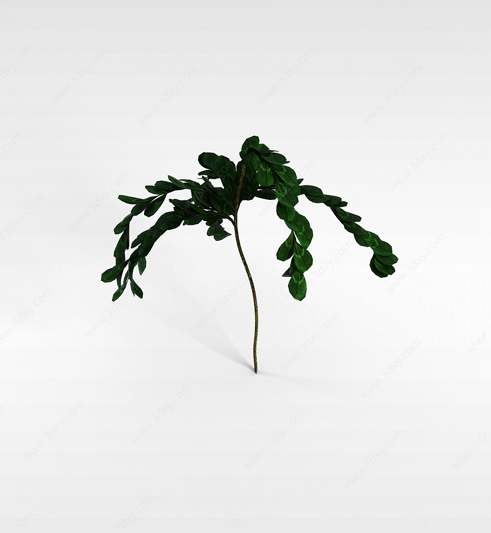大叶片灌木3D模型