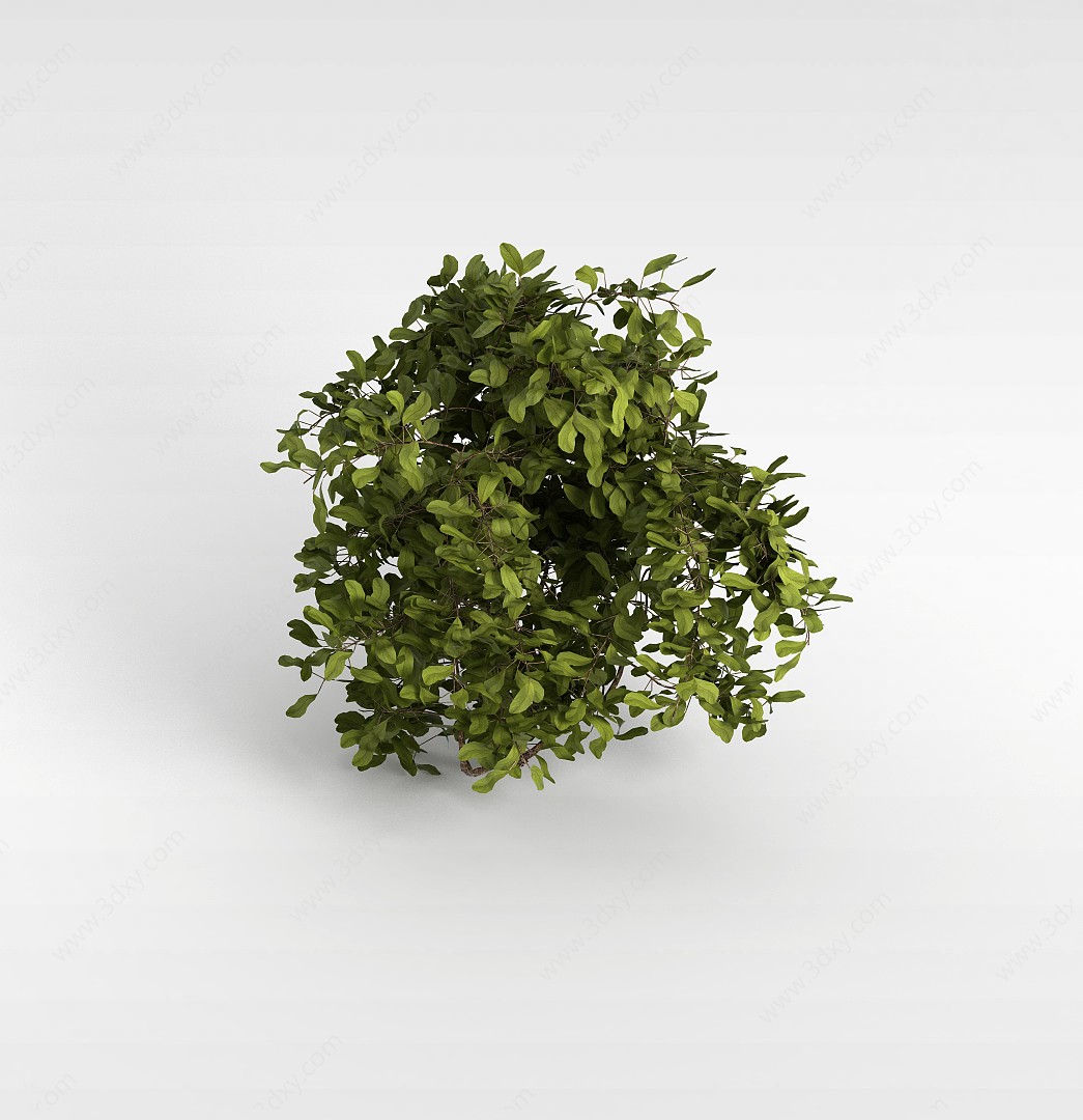 小叶灌木3D模型