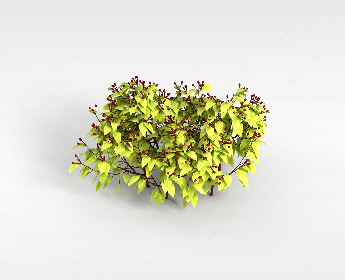 红色果实灌木3D模型