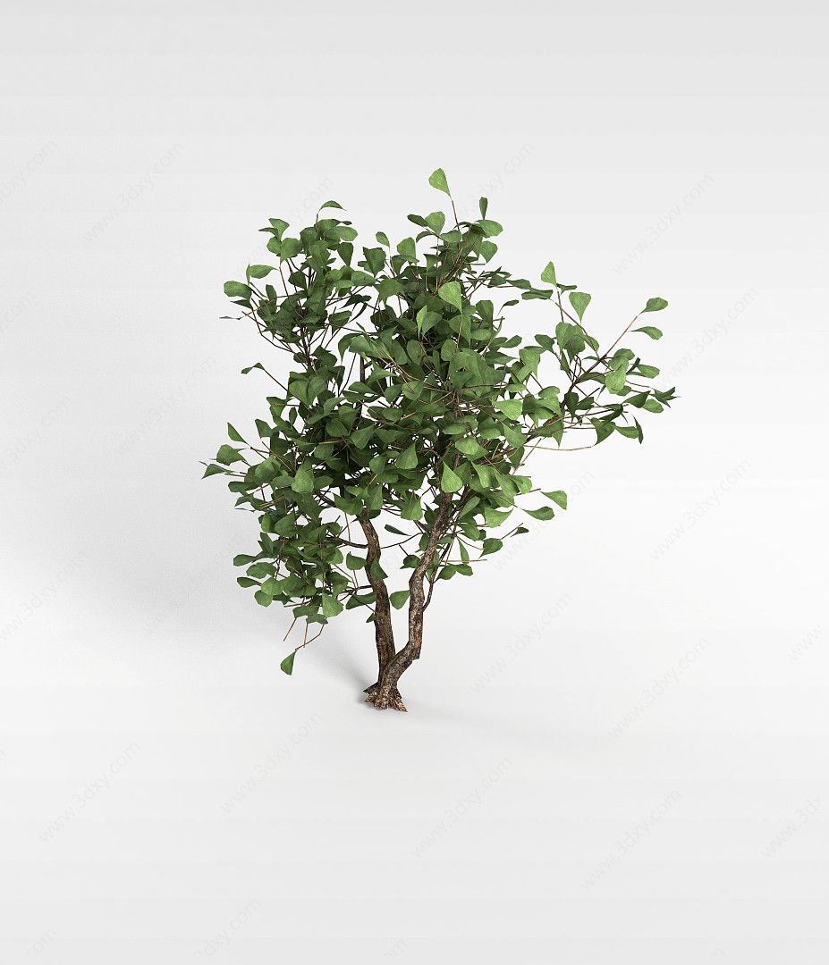 绿叶灌木3D模型