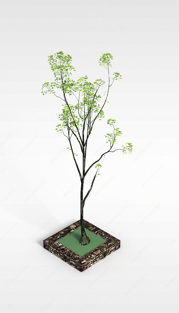 庭院树3D模型