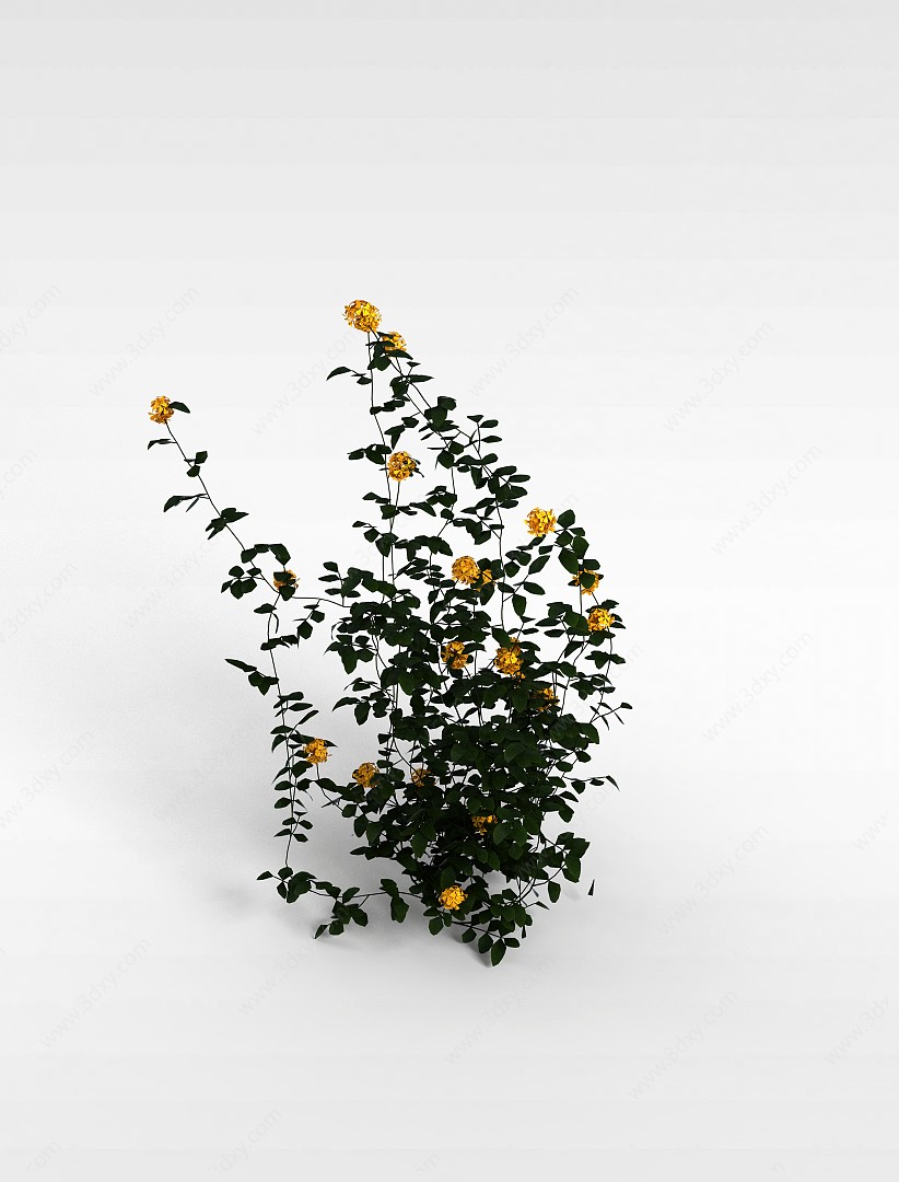 黄色花3D模型