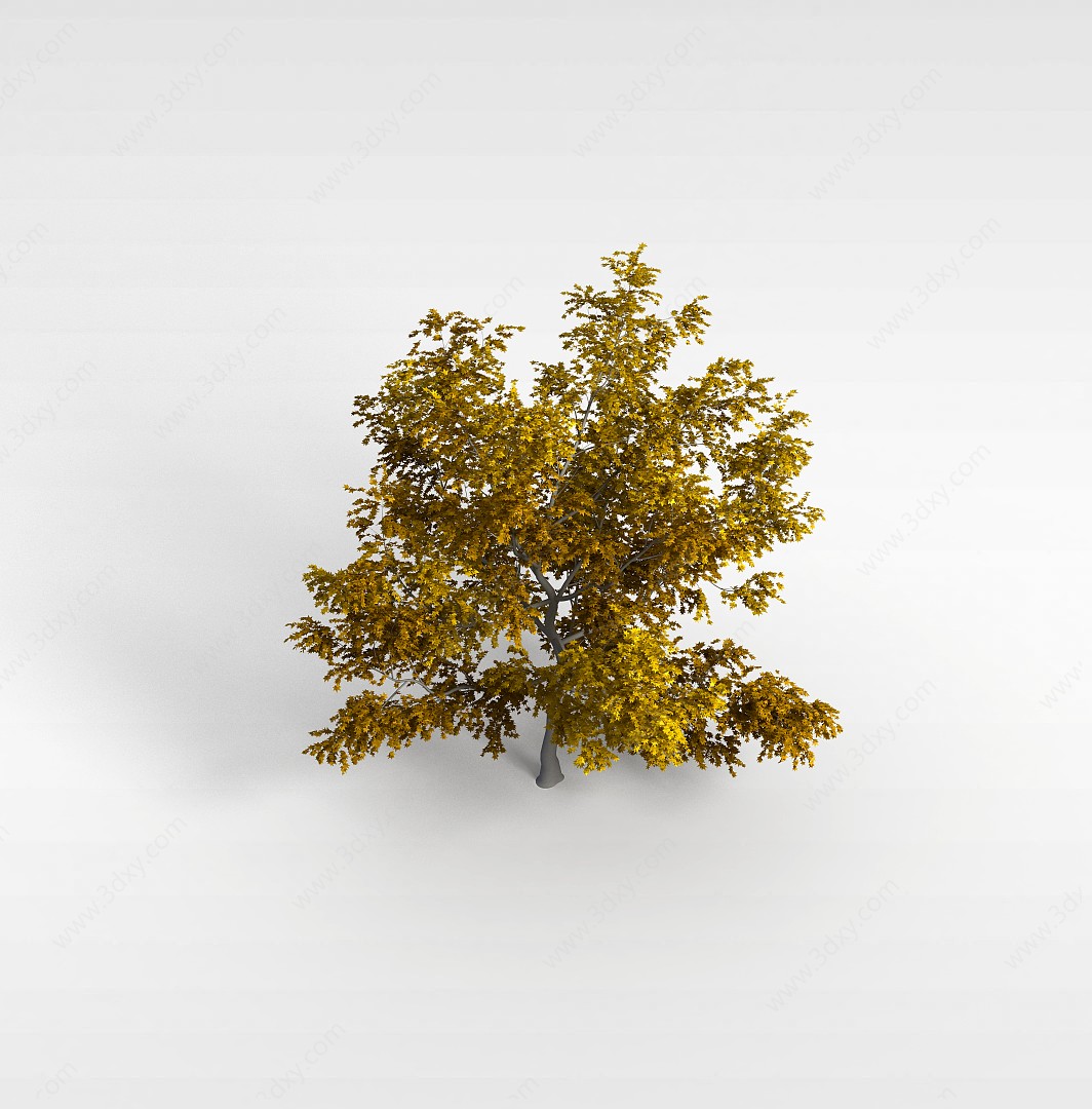 观赏灌木3D模型