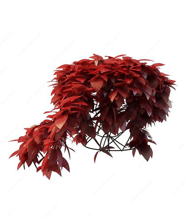 红色植物3D模型