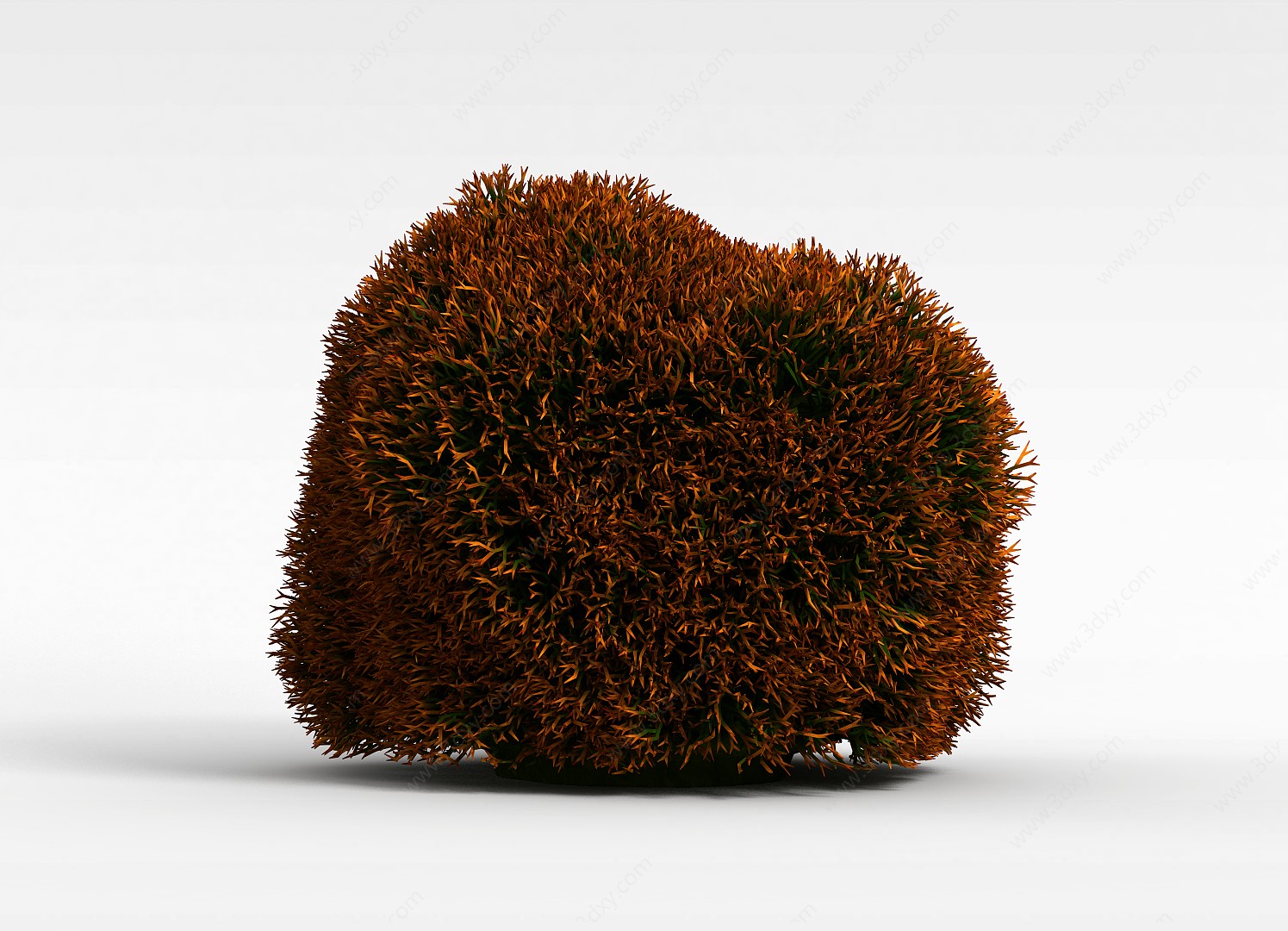 草帽灌木3D模型