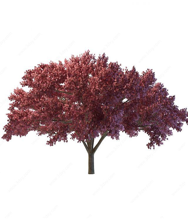 红树3D模型
