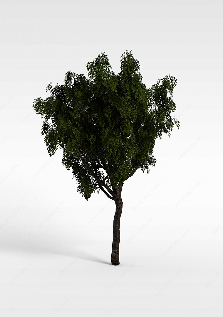 道路绿化树3D模型