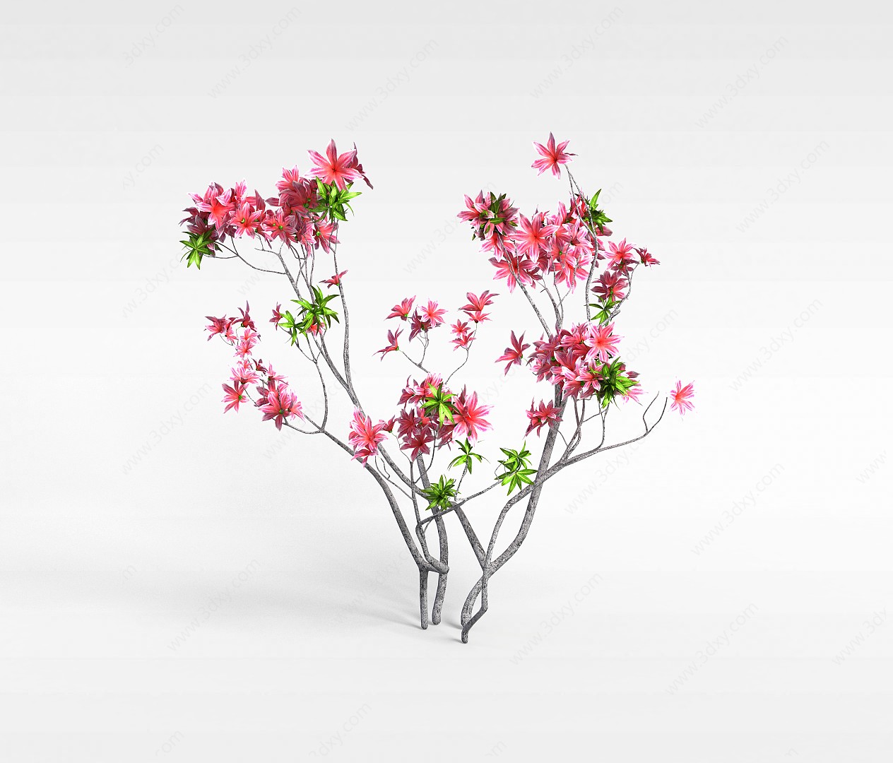 百合花树3D模型