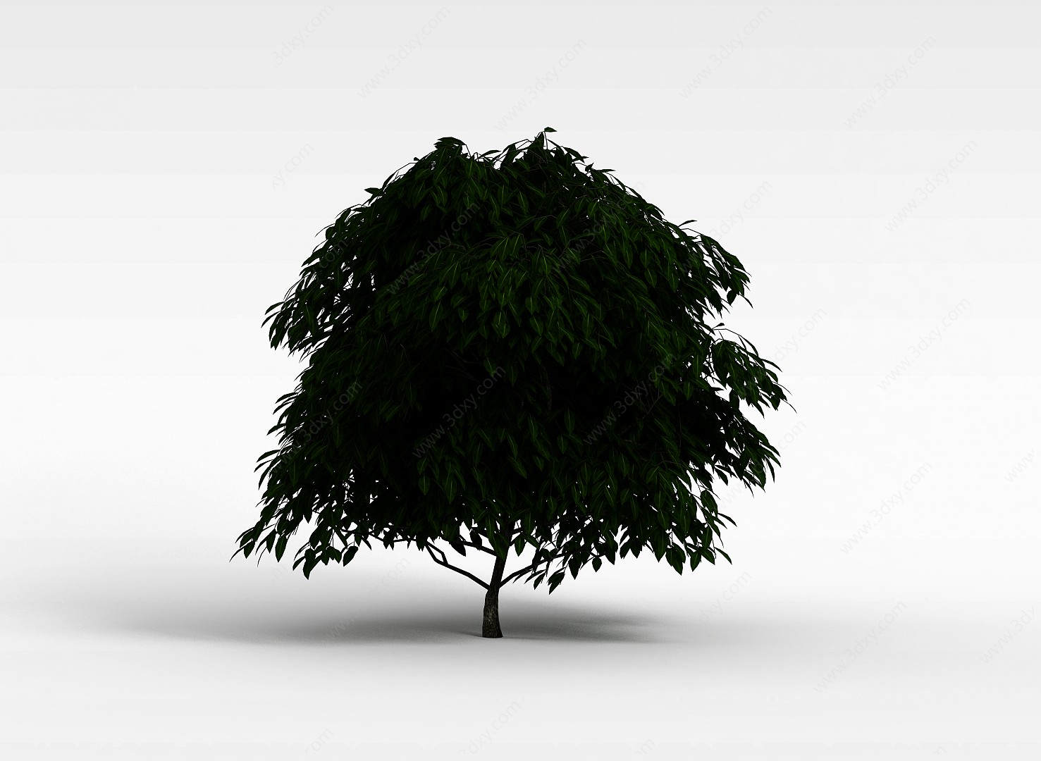 绿化苗木3D模型