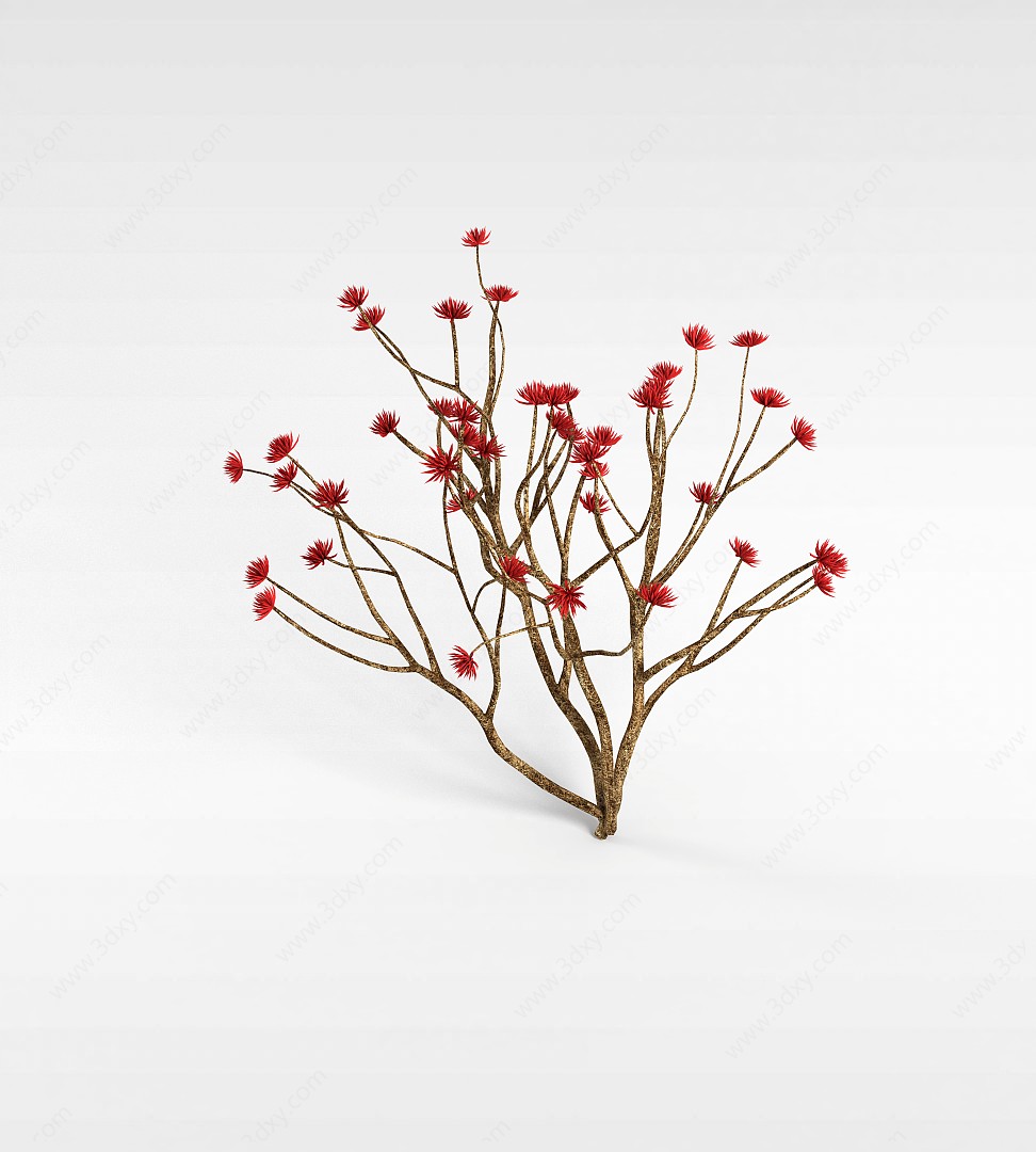 空桐树3D模型