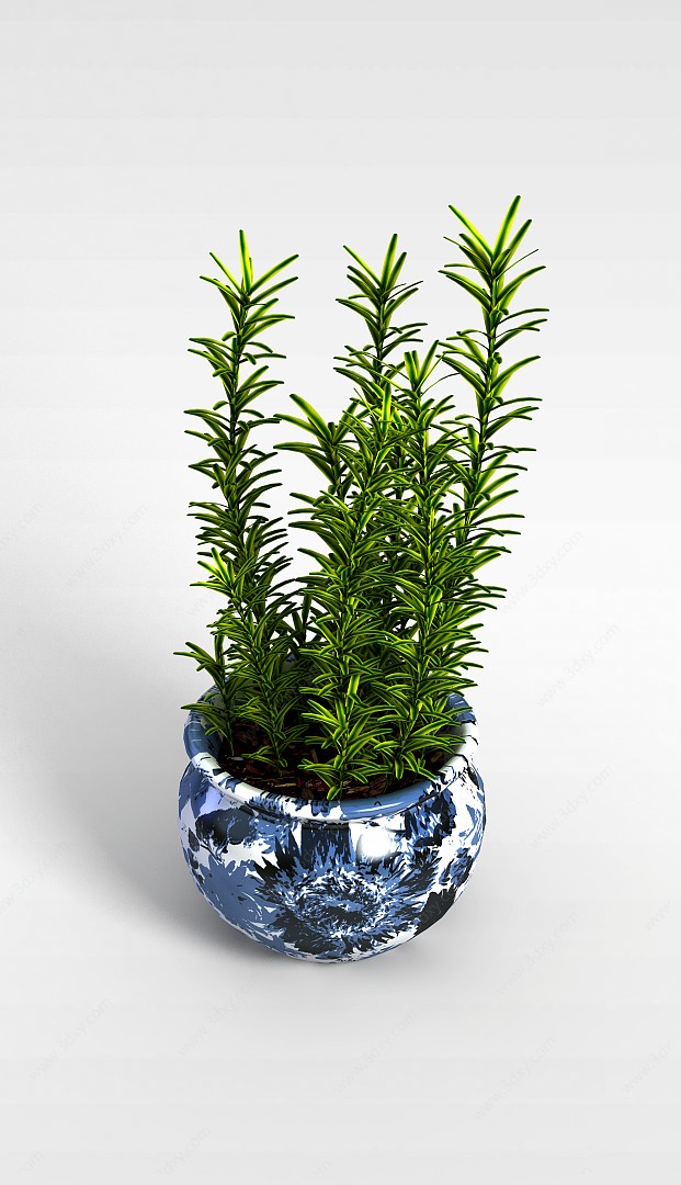 观叶植物3D模型
