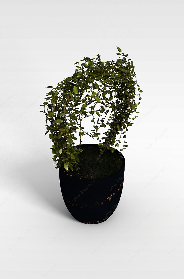 花藤盆栽3D模型