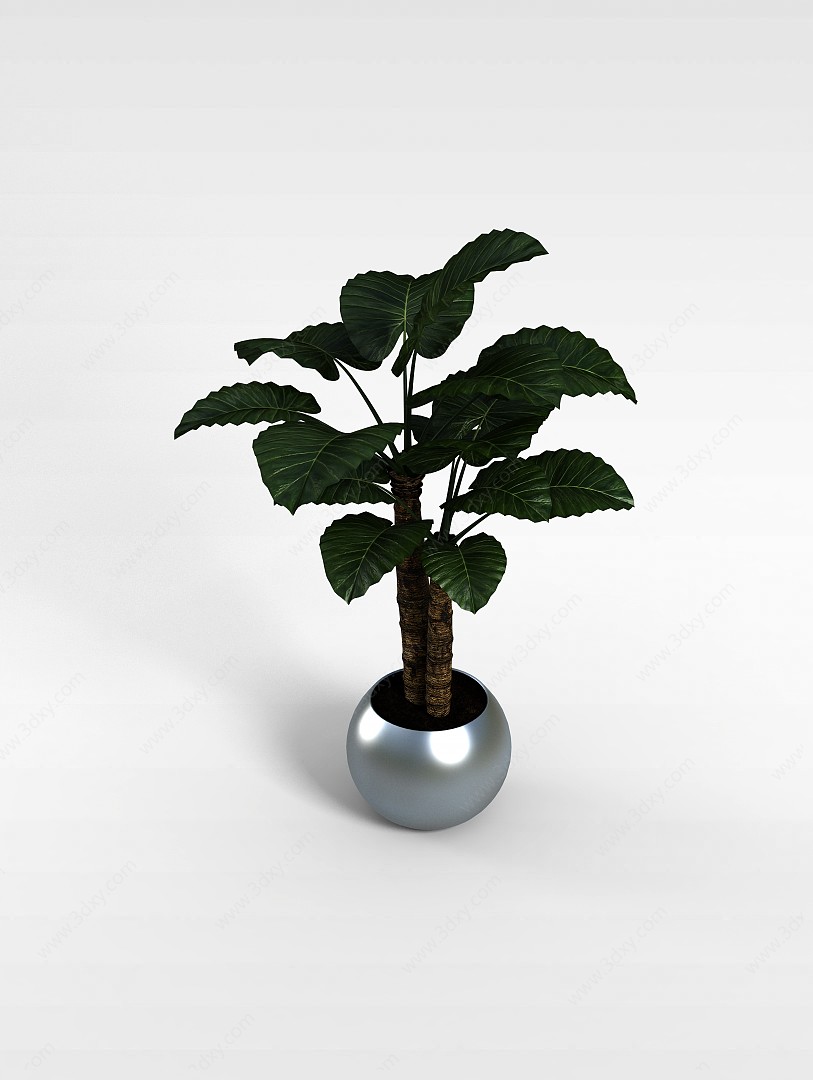 室内植物3D模型