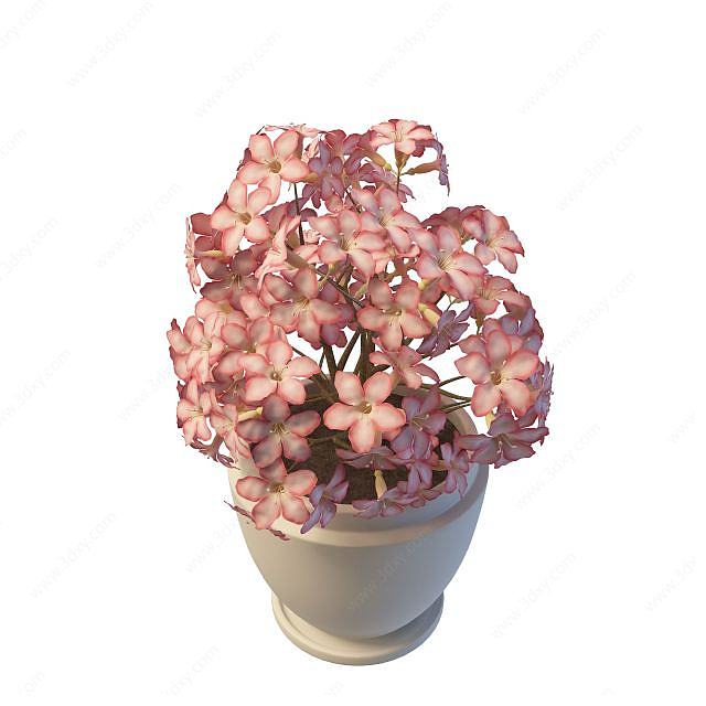 粉花盆栽3D模型