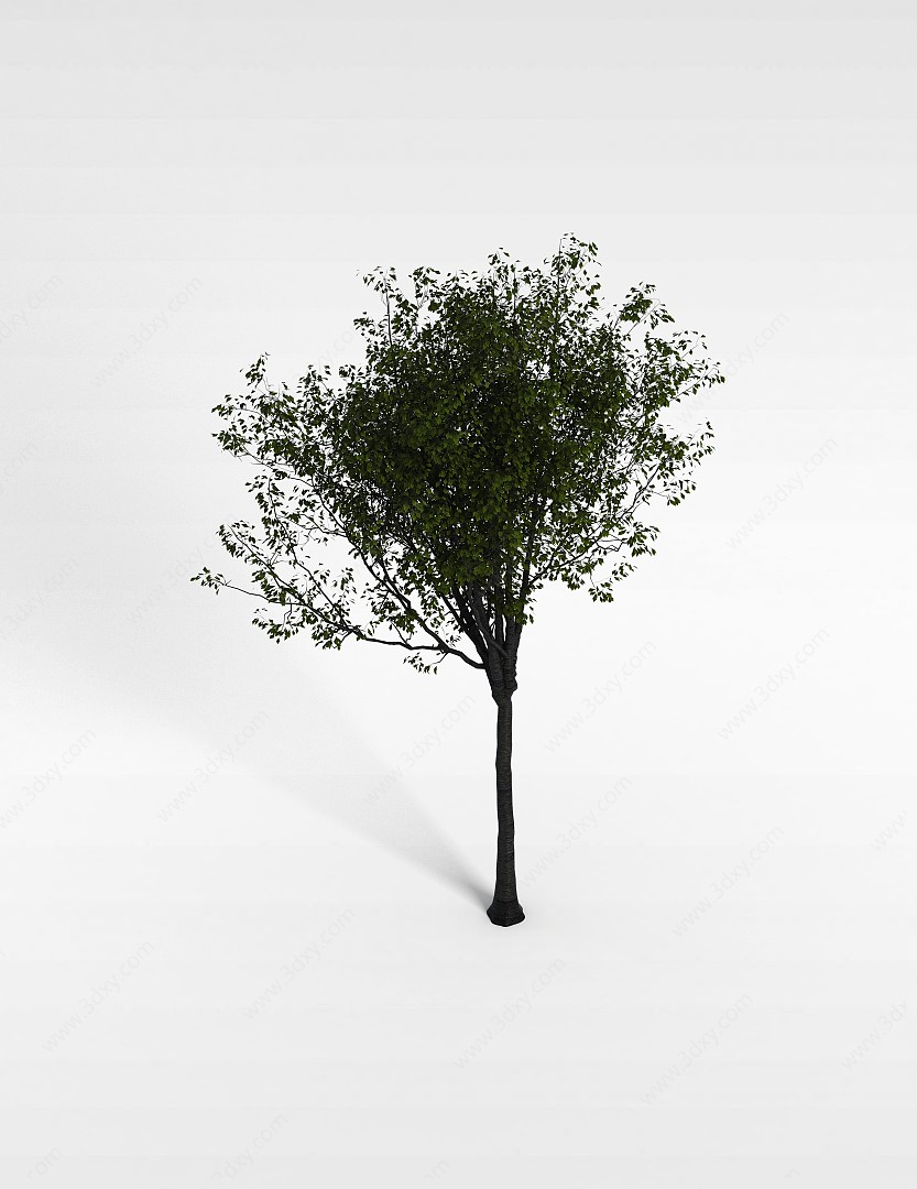 庭院树木3D模型