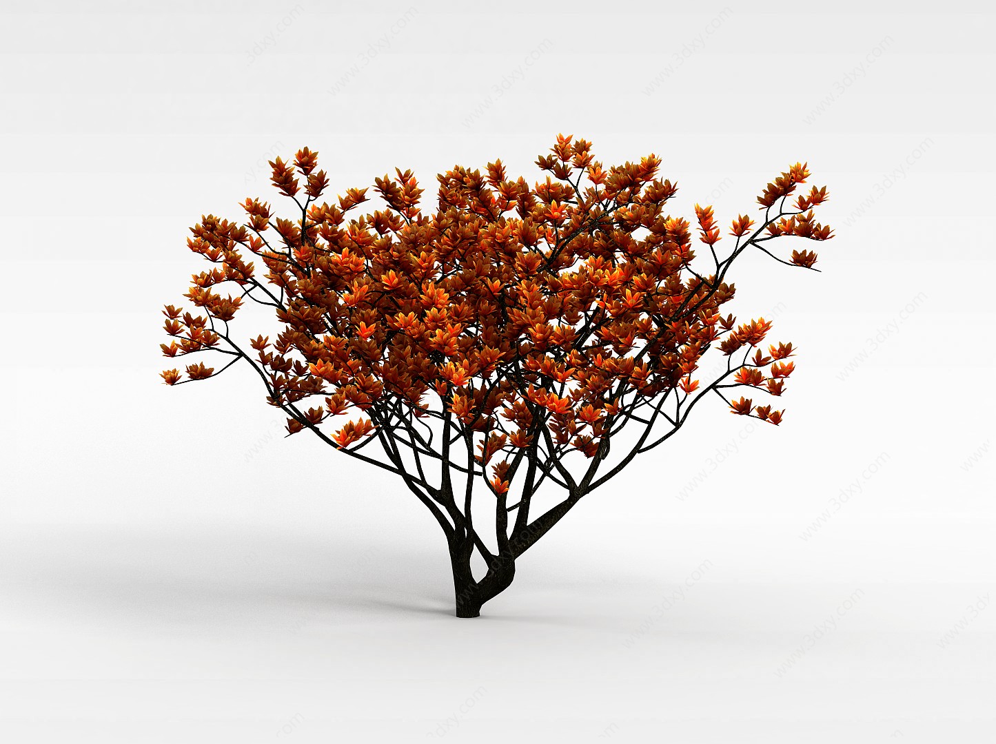 黄叶灌木3D模型