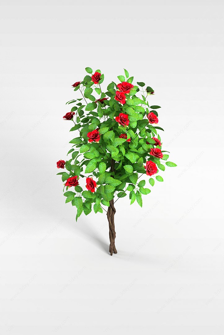玫瑰花3D模型