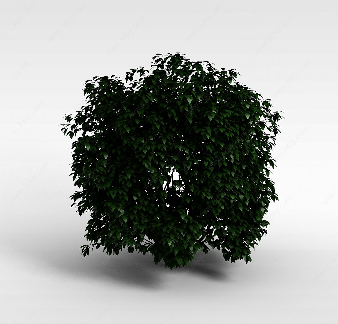 小叶灌木3D模型