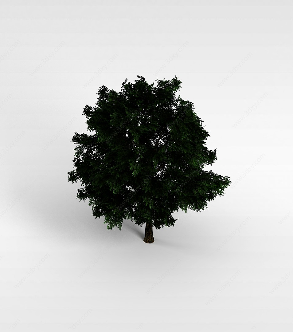 热带树3D模型