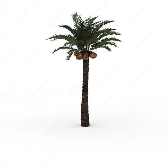 菠萝树3D模型