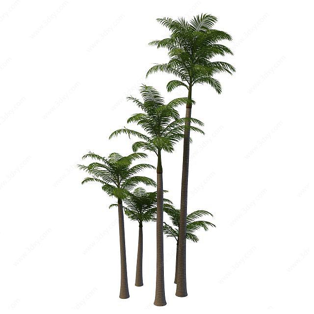 棕榈树3D模型