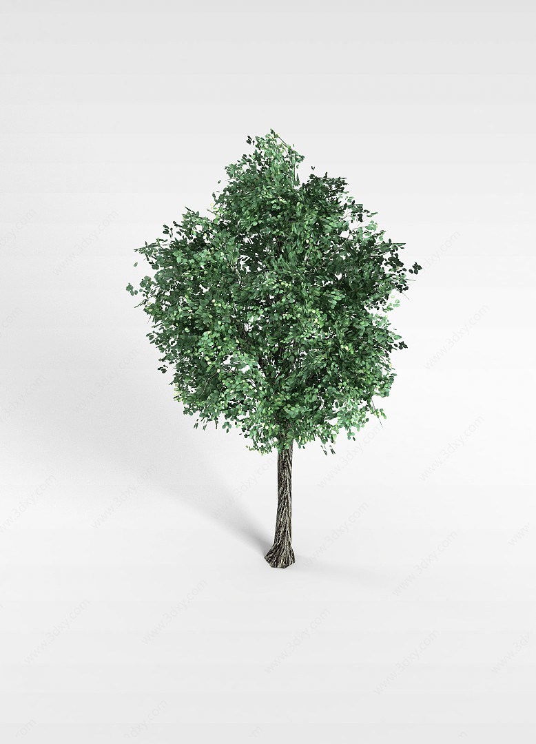 景观树3D模型