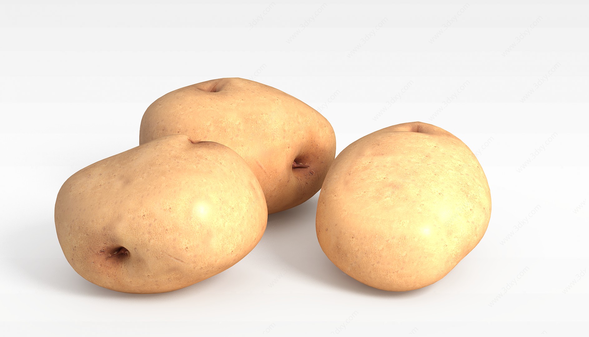 土豆3D模型