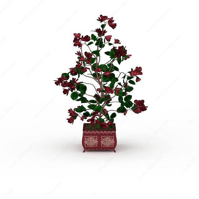 仿真盆栽花卉3D模型