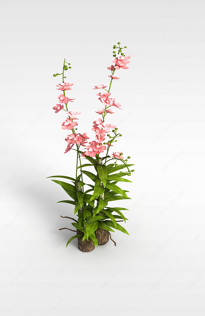 粉色鲜花盆景3D模型