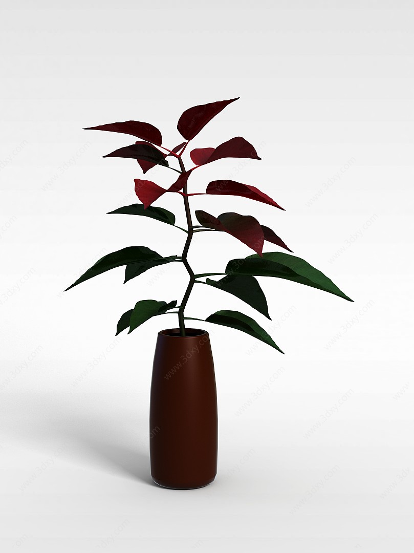 一品红盆栽3D模型