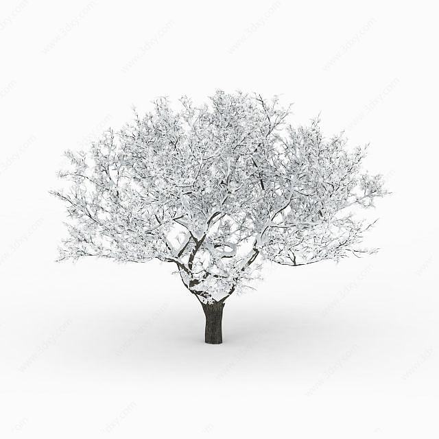 冬季落雪树3D模型