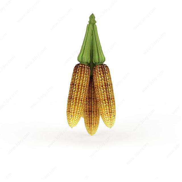 玉米摆设品3D模型