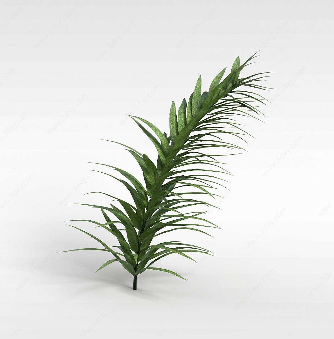 绿色尖叶草3D模型