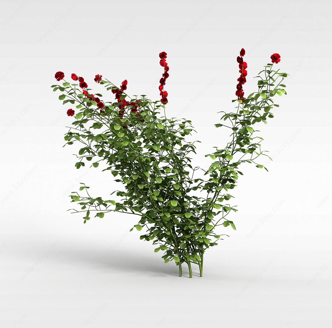 红花灌木3D模型