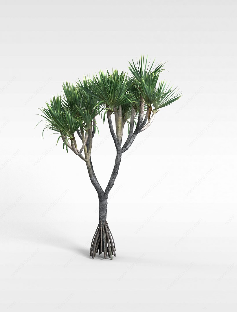 扇形灌木3D模型