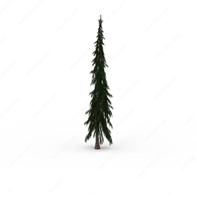 圣诞树植物3D模型