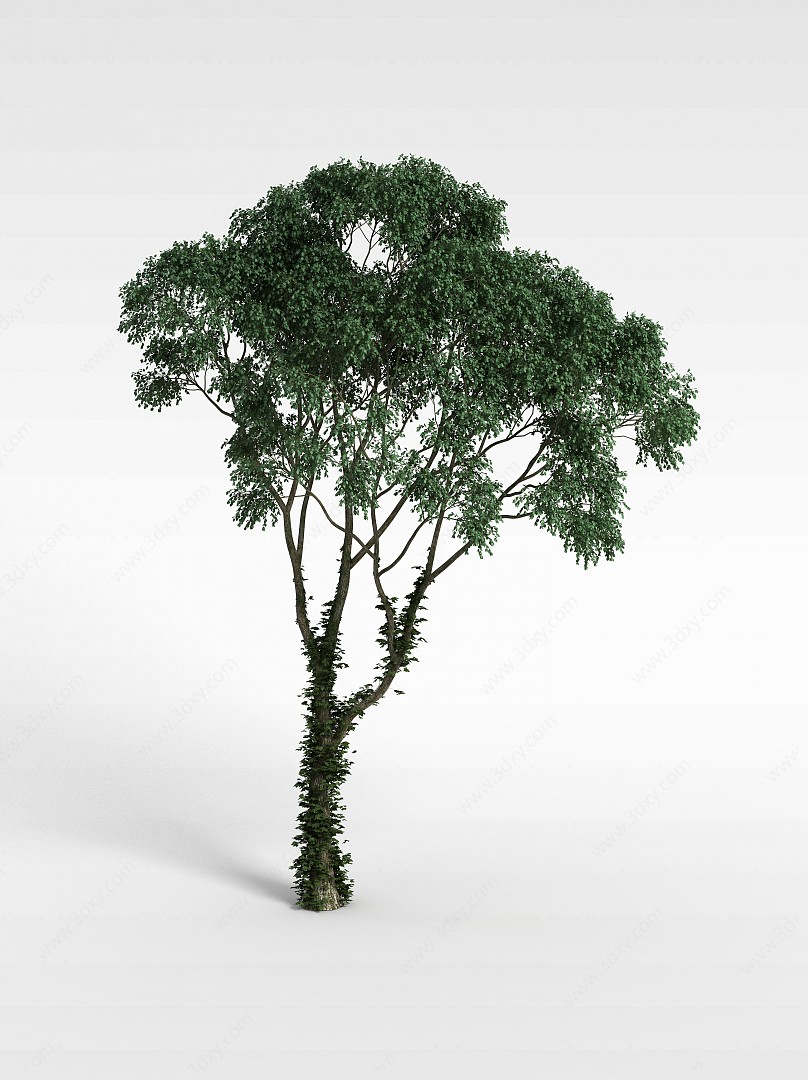茂盛伞状树木3D模型