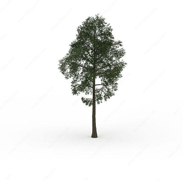 茂盛榆树3D模型