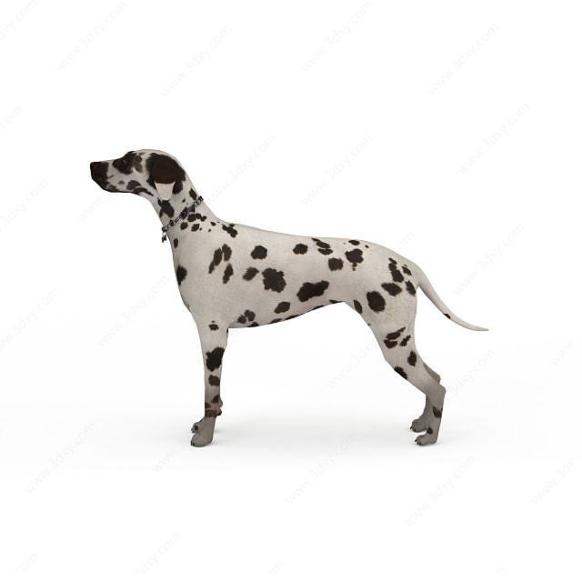 斑点狗3D模型