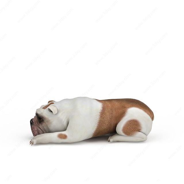 宠物癞皮狗3D模型